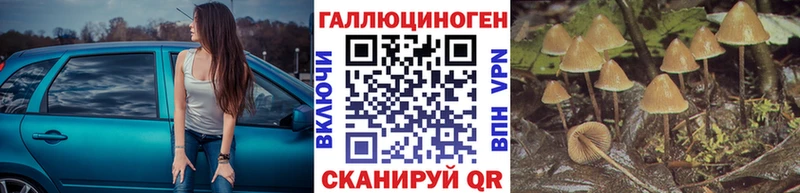 Галлюциногенные грибы MAGIC MUSHROOMS хочу наркоту Кремёнки